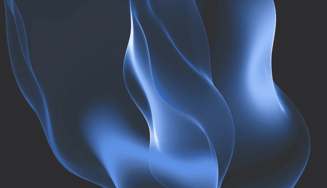 Fondo